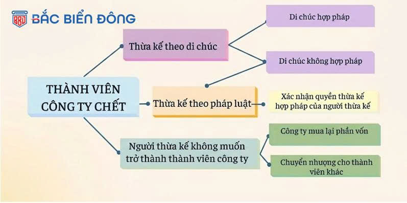 Xử lý vốn góp khi công ty có thành viên chết